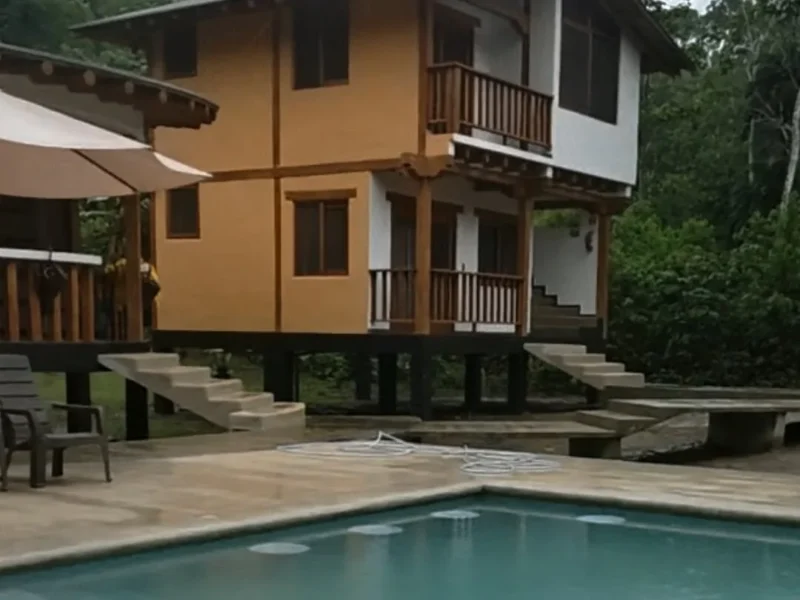 Discover the Amazon: 2 Days at Napo Amazon EcoLodge