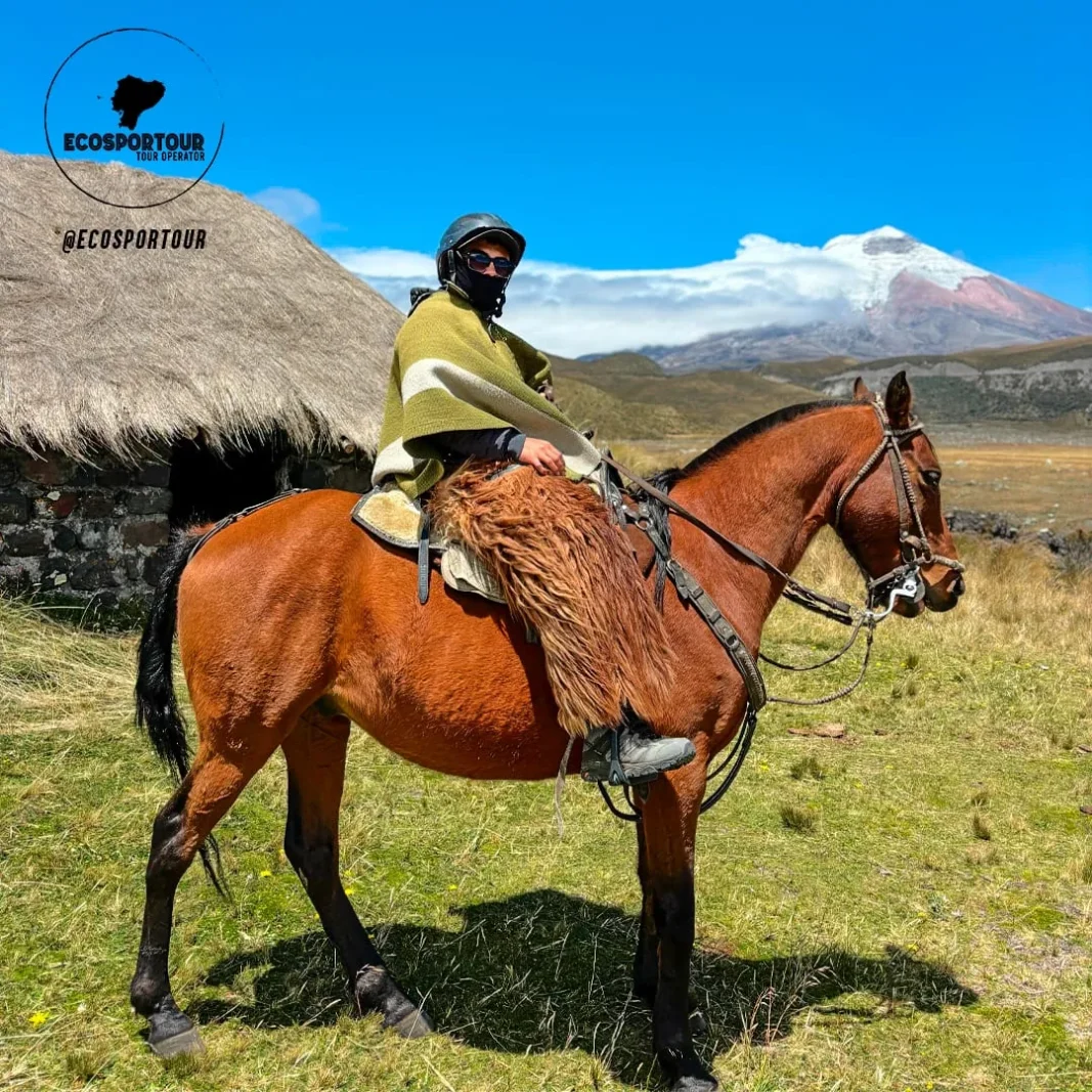 Cotopaxi Horseback Riding — Ecosportour, Ecuador